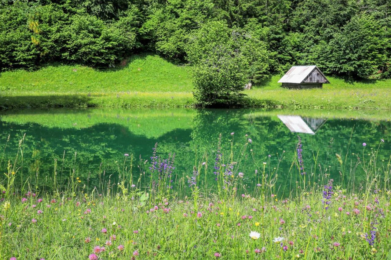 Сasa de vacaciones House Radovna Bled *